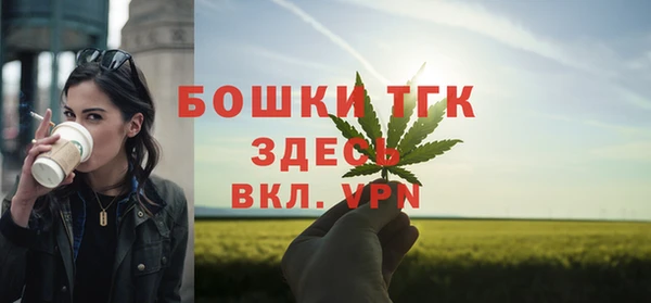 дживик Пестово