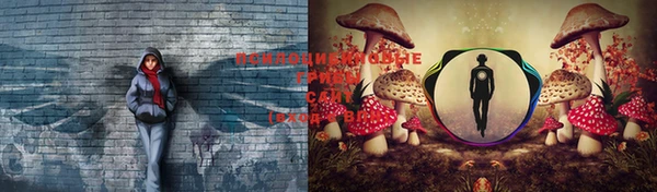 прущие крисы Балабаново
